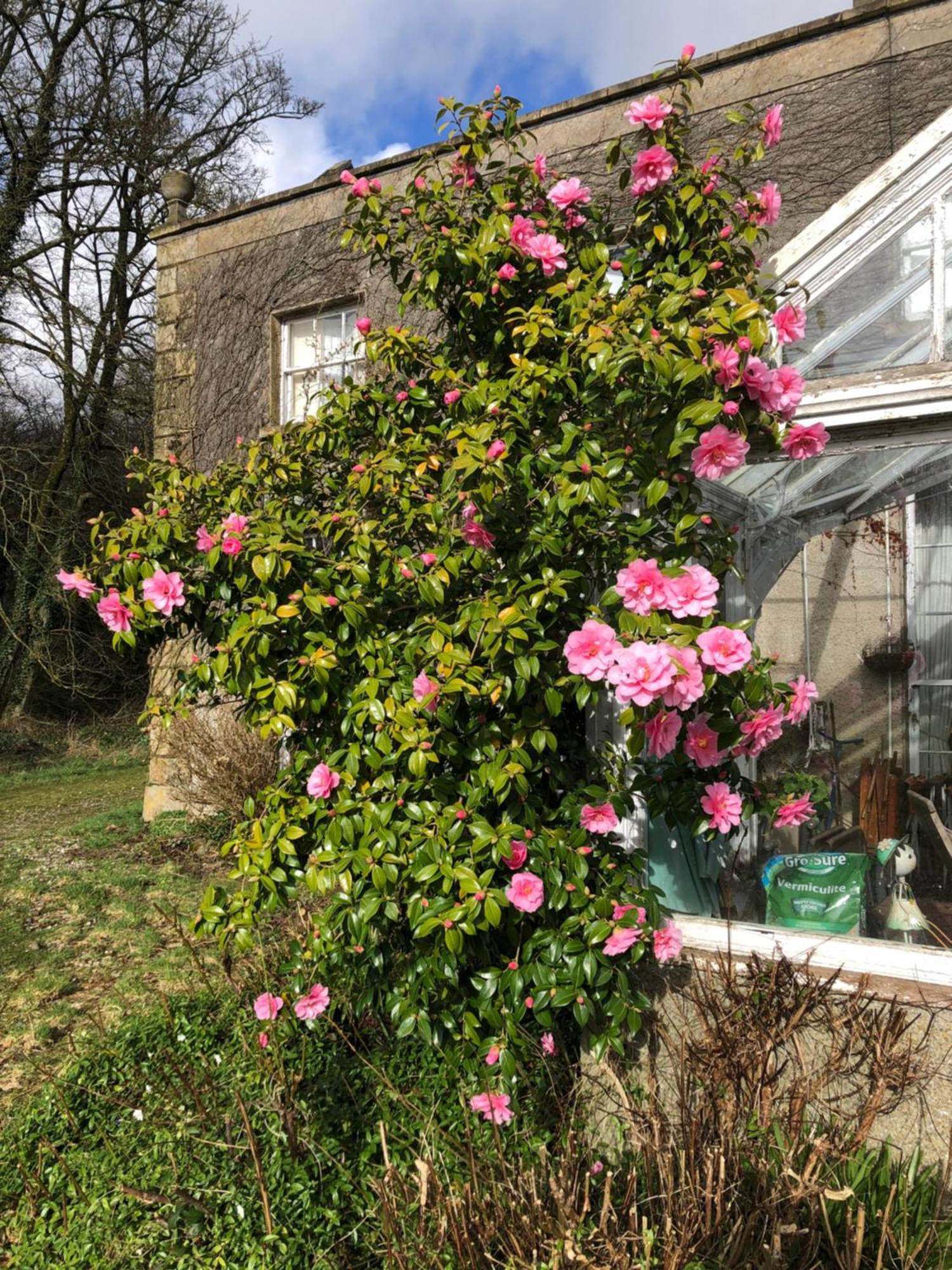 O'Harabrook Country House Ballymoney Exterior photo